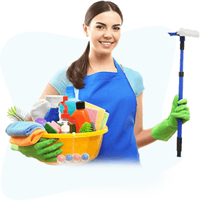 Lady With Cleaning Brush